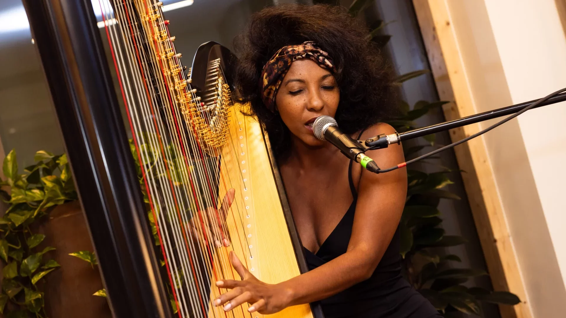 blacktrombone agence événementielle paris soirée premium corporate animation artiste harpiste musique